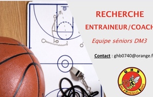 Recherche entraineur/coach DM3