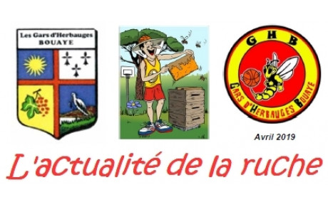 Actualité de la ruche  N°11 – Avril 2019