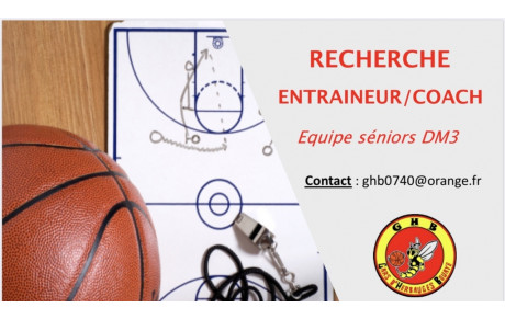 Recherche entraineur/coach DM3