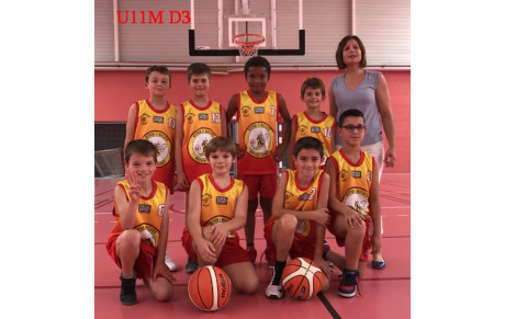 U11M D2 H